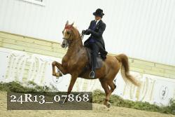24R13_07868 thumbnail