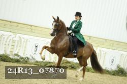 24R13_07870 thumbnail