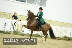 24R13_07871 thumbnail