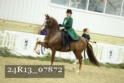 24R13_07872 thumbnail