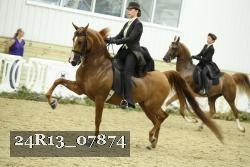 24R13_07874 thumbnail