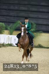 24R13_07875 thumbnail