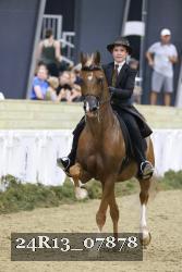 24R13_07878 thumbnail