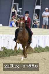 24R13_07880 thumbnail