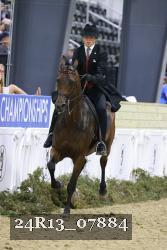 24R13_07884 thumbnail