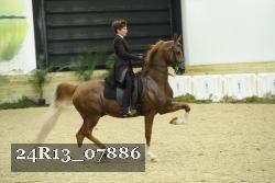 24R13_07886 thumbnail