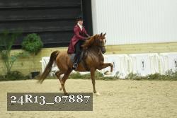 24R13_07887 thumbnail