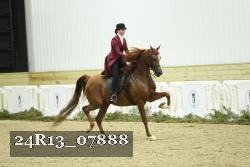 24R13_07888 thumbnail