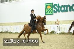 24R13_07890 thumbnail