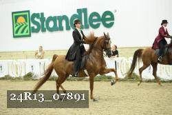 24R13_07891 thumbnail