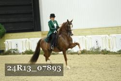 24R13_07893 thumbnail
