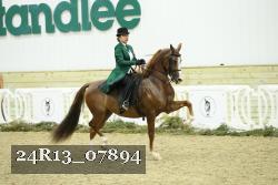 24R13_07894 thumbnail