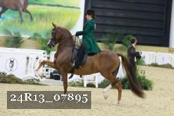 24R13_07895 thumbnail