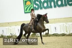 24R13_07896 thumbnail