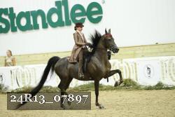 24R13_07897 thumbnail
