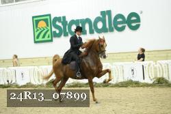 24R13_07899 thumbnail