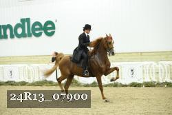 24R13_07900 thumbnail
