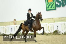 24R13_07901 thumbnail