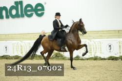 24R13_07902 thumbnail