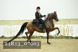 24R13_07903 thumbnail