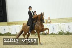 24R13_07905 thumbnail