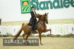 24R13_07906 thumbnail