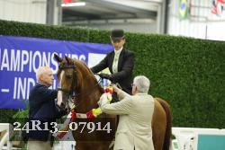 24R13_07914 thumbnail