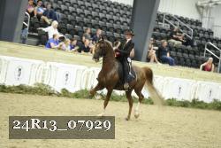 24R13_07929 thumbnail