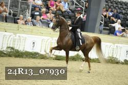 24R13_07930 thumbnail