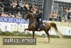 24R13_07931 thumbnail