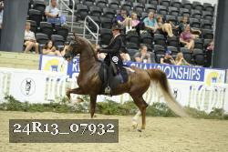 24R13_07932 thumbnail