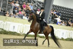 24R13_07933 thumbnail