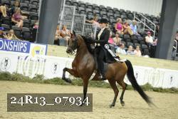 24R13_07934 thumbnail