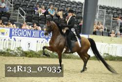 24R13_07935 thumbnail