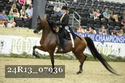 24R13_07936 thumbnail