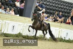 24R13_07937 thumbnail