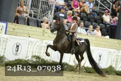 24R13_07938 thumbnail
