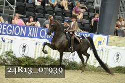 24R13_07939 thumbnail