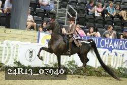 24R13_07940 thumbnail