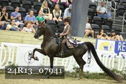 24R13_07941 thumbnail