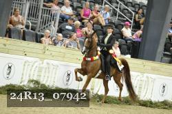 24R13_07942 thumbnail