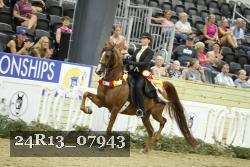 24R13_07943 thumbnail