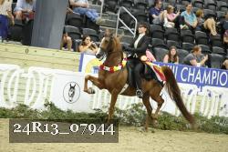 24R13_07944 thumbnail