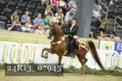 24R13_07945 thumbnail