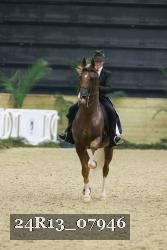 24R13_07946 thumbnail