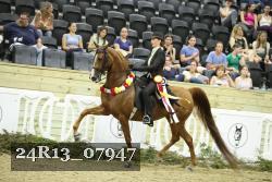 24R13_07947 thumbnail