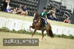 24R13_07950 thumbnail