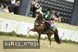 24R13_07951 thumbnail