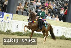 24R13_07952 thumbnail