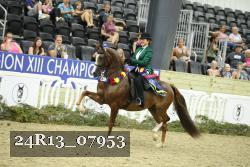 24R13_07953 thumbnail